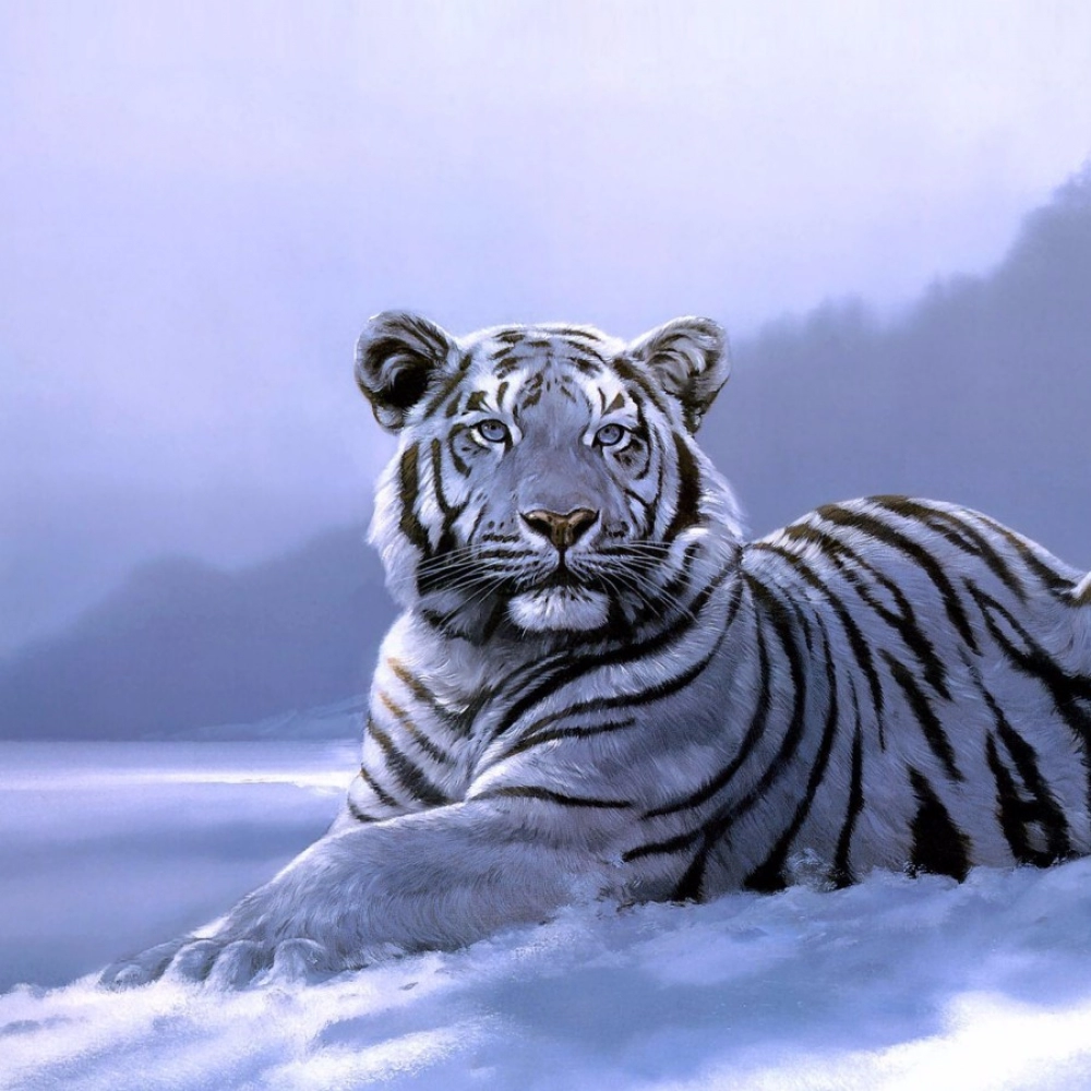 Tiger Mobile Case Cover - Image 2