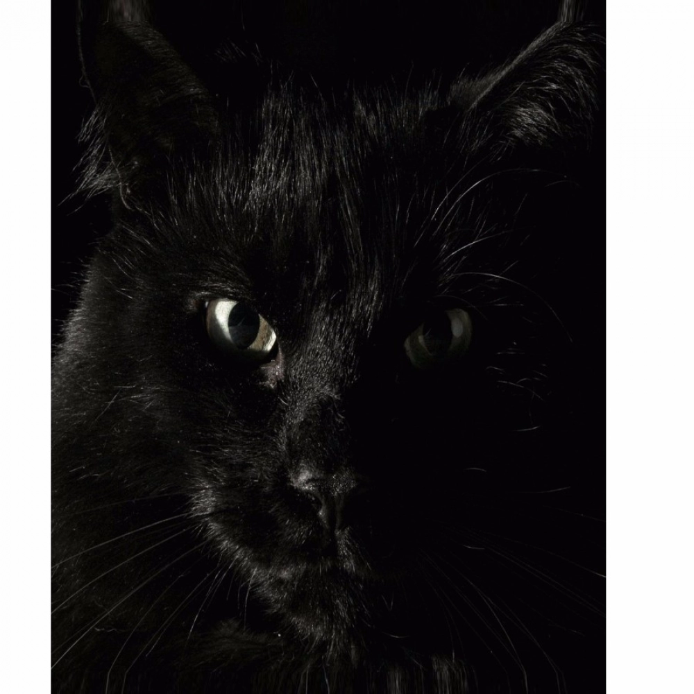 Dark Animal Mobile Case Cover - Image 2