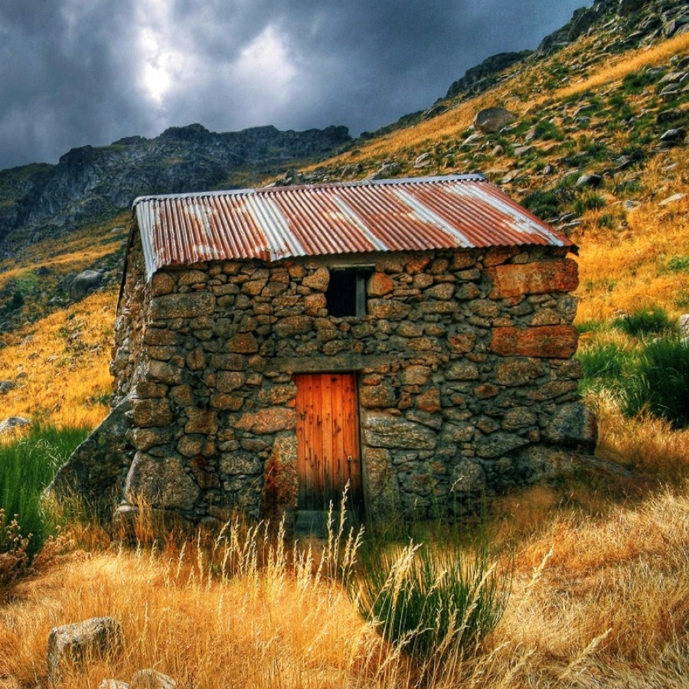 Old Age Home Mobile Case Cover - Image 2