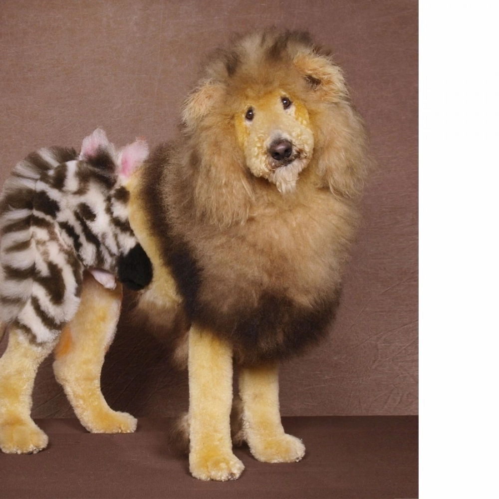 Lion and Tiger Masking Effect Mobile Case Cover - Image 2