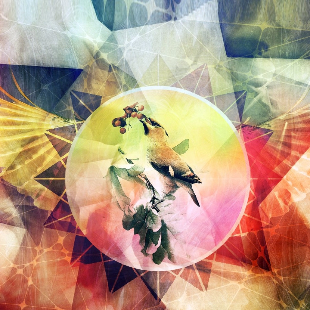 Colorful Texture with Bird Mobile case cover - Image 2