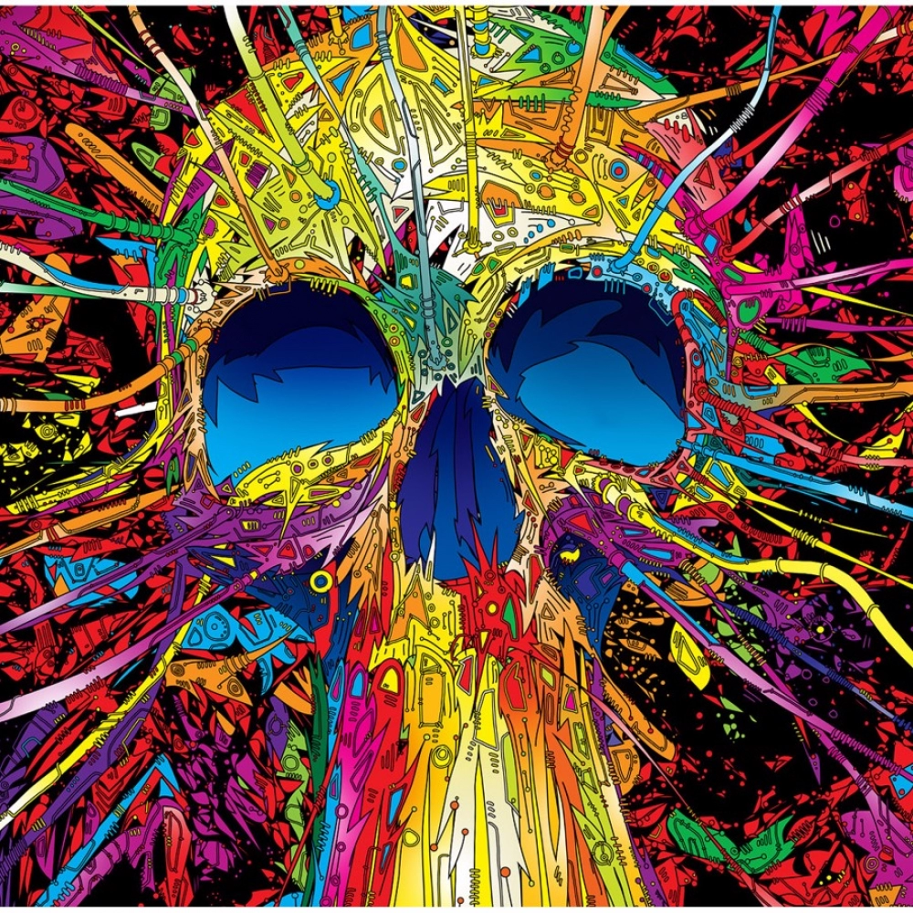 Skull illustration Effect Mobile Case Cover - Image 2