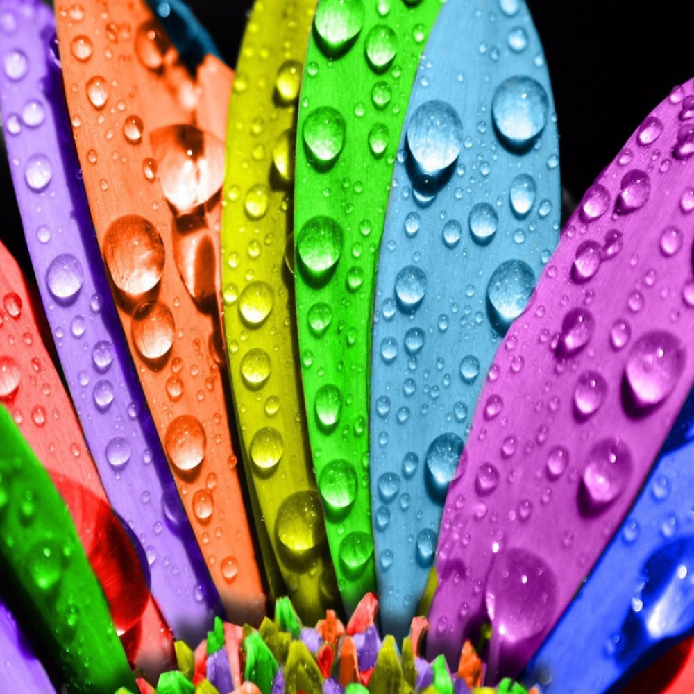 Different Color Leaves with waterdrops Mobile Case Cover - Image 2