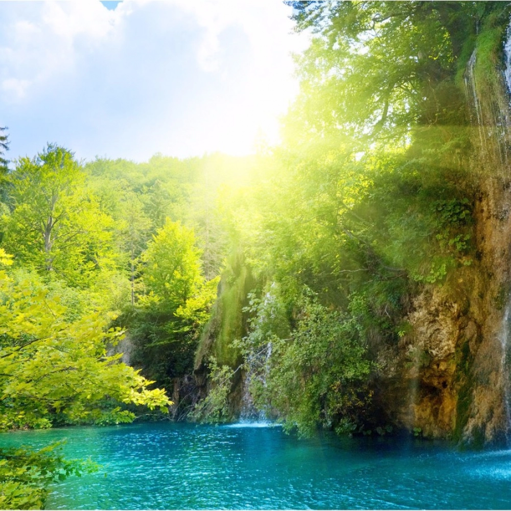 Natural Forest and sunrise Mobile Case Cover - Image 2