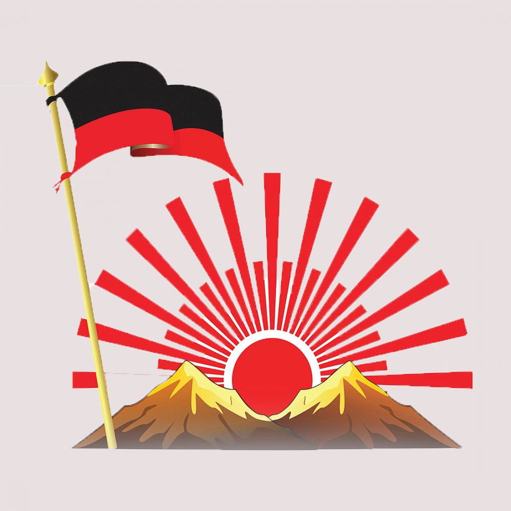 Printed DMK Party Symbol Hard Mobile Case Cover - Image 2