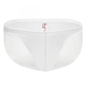 Men's Mesh Power Net Men Transparent Briefs Underwear (White)