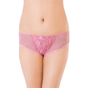 Women's Nylon Mid Rise Light Pink Lace With Medium Coverage Transparent Hipster Panty (Light Pink)
