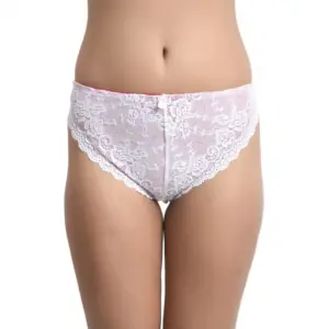 Women's Nylon Low Waist Sheer See Through Bikini Lace Panty (White)