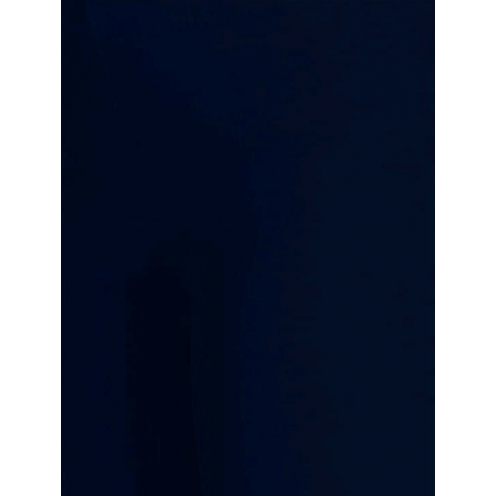 Women's Cotton Stretchable Skin Fit Ankle Length Leggings (Navy Blue) - Image 2