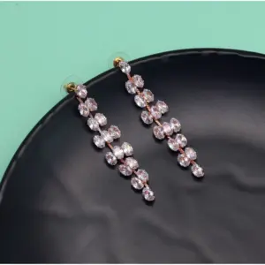 Women's White Color Stone Rose Gold Earrings