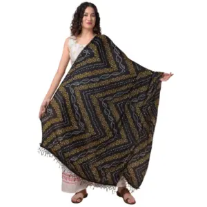 Women's Chanderi Printed Dupatta (Multicolor, Length:?2.25 to 2.50 Mtr)