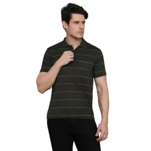 Men's?Casual Half Sleeve Striped Cotton Blended Polo Neck T-shirt (Green)