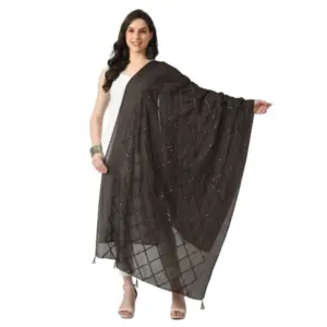 Women's Chanderi Self Design Dupatta (Dark Browm, Length:?Free Size)