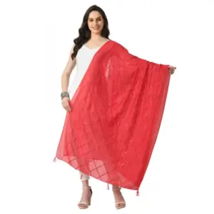 Women's Chanderi Self Design Dupatta (Rani, Length:?Free Size)