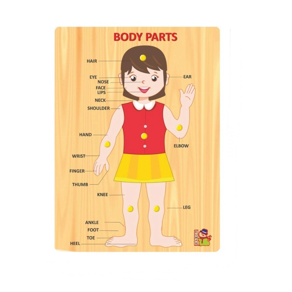Body Parts | Wood | Educational Toys | 3+ Years - Image 2