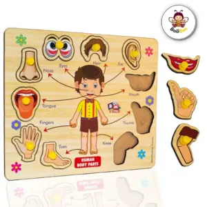 Wooden Puzzle - Body parts | Wood | Educational Toys | 3+ Years