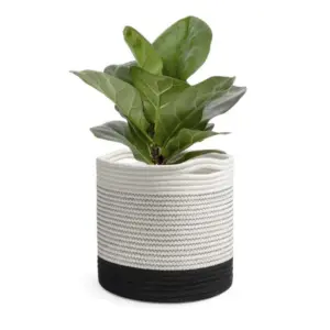 Cotton Large Woven Storage Basket 10x10 Inch Pack of 1 (White)