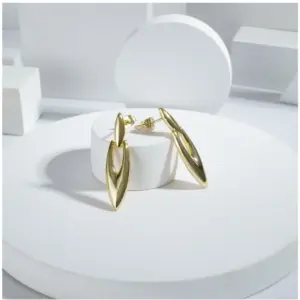 Women's Stainless Steel Gold Earrings (Gold Plated)