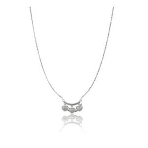 Women's Stainless Steel Imported Stanless Steel Heart Pendent Chain (Silver Plated)