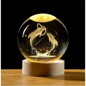Wood 3D Dolphin Crystal Ball Night Light Dolphin Love (Transparent)