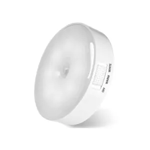 Plastic Motion Sensor Light (White)