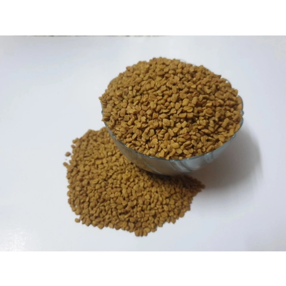 Fenugreek Microgreen Seeds – Nutritious Greens, Easy to Cultivate