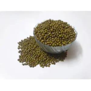 Mung Bean Microgreen Seeds – Fast Growing, Ideal for Salads & Wraps