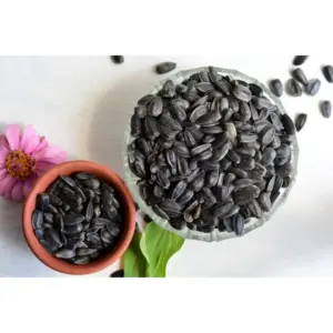 Sunflower Microgreen Seeds – Easy to Grow Indoors or Outdoors, Nutrient-Rich