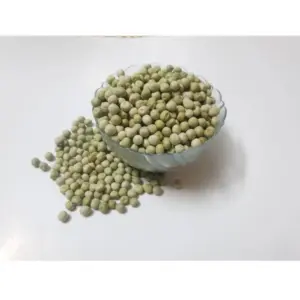 Peas Microgreen Seeds – Simple to Cultivate, Great for Healthy Meals