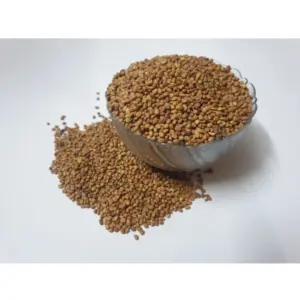 Radish Pink Microgreen Seeds – Easy to Grow, Brightens Your Dishes