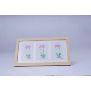 Acrylic Cactus Image Frame (Multicolor)