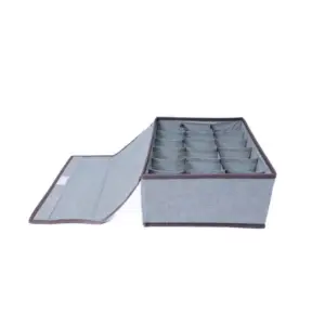 Polypropylene 3 Divider Storage Box (Multicolor)