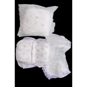 Pack of_10 Pcs Cotton Disposable Lady Period Pants Sanitary Napkin (White)
